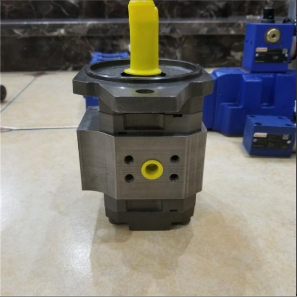 Rexroth High Pressure Industrial Gear Oil Pump with 1500-2700 RPM and 12 Months