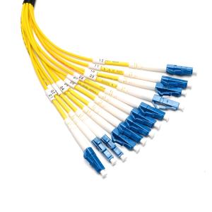 Single Mode SM 3 Meter Patch Cord Lc-Lc 12 Core with High return loss