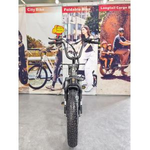 20” Fat Tire Long Tail Cargo E-bike