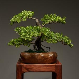 OEM High Imitation Artificial Landscape Trees For Airports