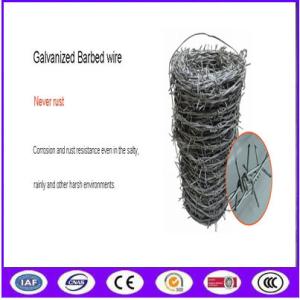 Anti Climb Galvanized Double Barbed Wire
