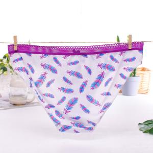 Smooth Silk Material Women Underwear Sexy Panty