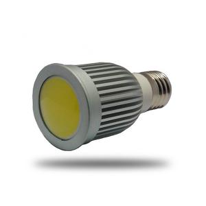 5W COB spotlight