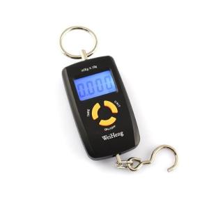 10g Division Digital Suitcase Weighing Scales , Temperature Function Travel