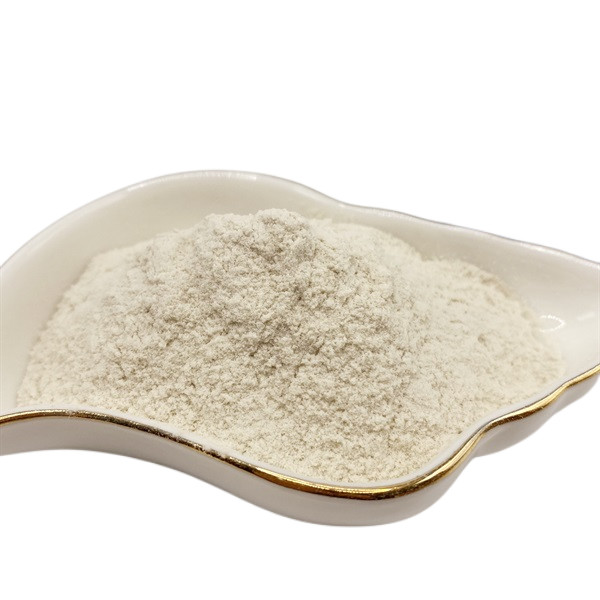 Buy 80 Mesh Agriculture Chitosan Natural Polymer Raw Material at wholesale prices