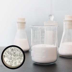 HN60S Hollow Glass Microspheres 10-60 µm for Structural Sealants