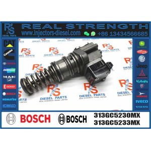 Common Rail Fuel Injector 313GC5230MX 313GC5230M 7485003175 0986445005 for DAF