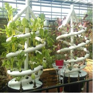 Soilless Culture Biological Control Double Helix Hydroponic Tube For Indoor