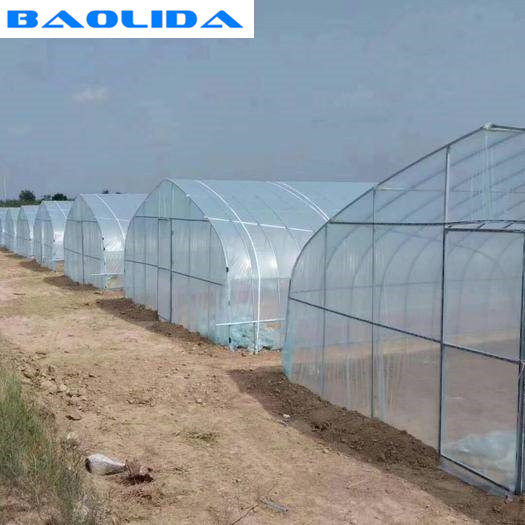 Modern Tunnel Plastic Greenhouse For Tropical Climate Plastic Covering