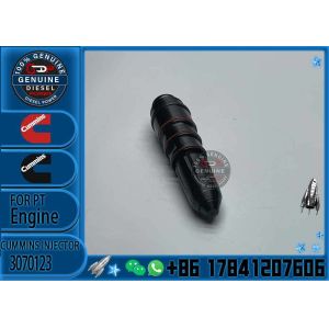 Professional Factory Supplied for Cummins NT855 Engine Injector 3070123 3054218