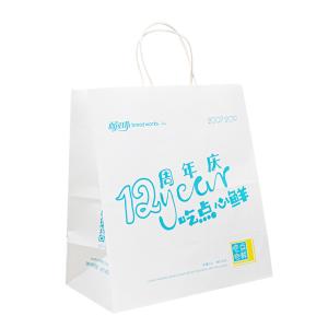 Quality Paper Twist Rope Eco Friendly Paper Bag 8 Color Flexo Printing Handle Paper Bags for sale