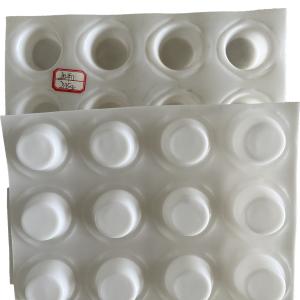 Engineering Construction Waterproofing HDPE Drainage Board for Roof Greening