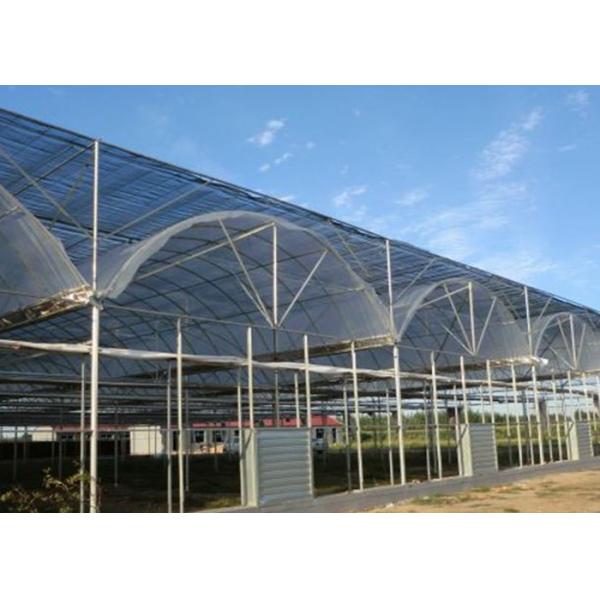 Buy Thermal Insulation Single Span Tunnel Plastic Film Greenhouse at wholesale prices