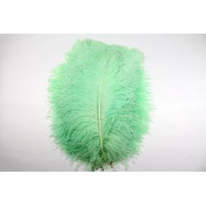 Carnival Costumes Decoration Millinery Feather , Ostrich Plume Feathers Multi