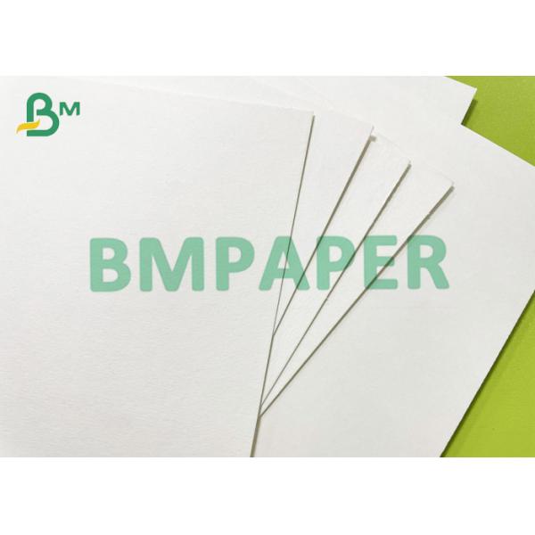 300gsm + 15g PE Formable Polycoated Cupstock Board For Hot Coffee