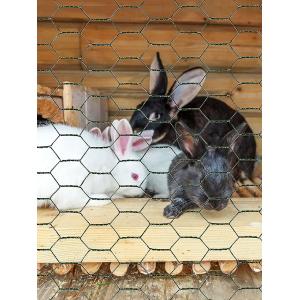 Hexagonal Wire Mesh Chicken Wire