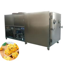 Dried Fruit Industrial Freeze Dryer Machine 200kg/batch