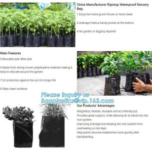 Nine pockets cheap vegetable grow planter bag,china manufacture riptop