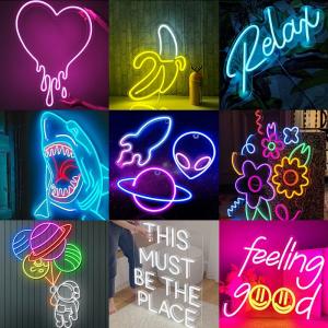 Silicone Extrusion Neon Lights 110V 127V 220V IP65 Waterproof 120leds/m SMD 2835