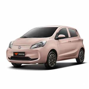 Changan Benben Electric Car 4 Wheels Electric Vehicle with 30.95kWh/100KM