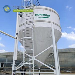 Welded Carbon Steel Storage Tanks for Gasoline: The Trusted Choice for Automotive Fuel