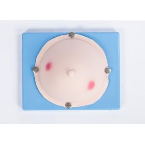 Quality Women Mammary / Breast Abscess Examination Gynecologic Simulator CE / SGS for sale
