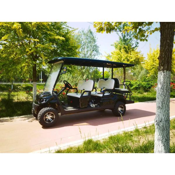 6 Seater Electric Golf Cart Fashion Design Powered Electric Lead Acid Batteries