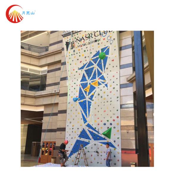 Adult Rock Indoor Climbing Wall Multicoloured Anti Corrosion For Shopping Mall