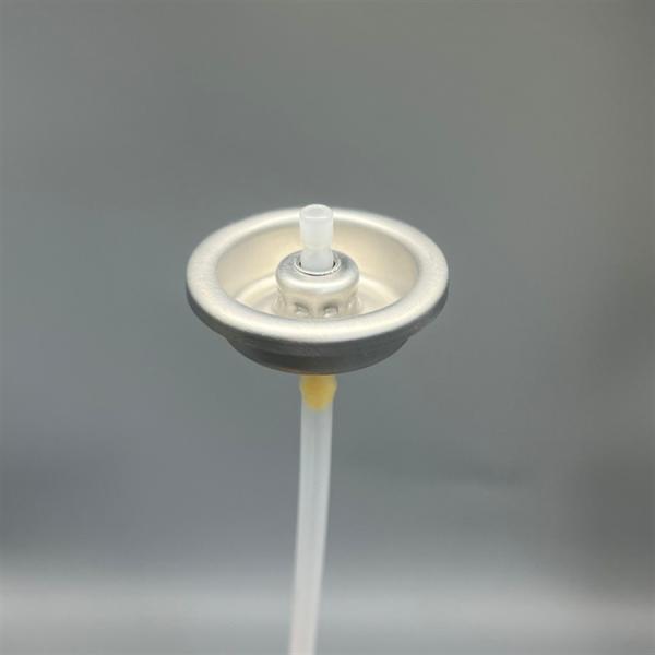 Compact Travel-Ready Deodorant Body Spray Valve with Actuator for On-the-Go Consumers with TSA-Compliant Design