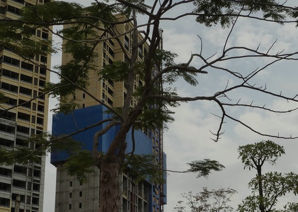 Buy Safety Door Protection 450m Construction Hoist Elevator at wholesale prices