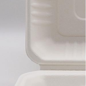 biodegradable disposable sugarcane bagasse takeaway food container packaging 3