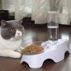 Plastic Dog Pets Double Cat Food Bowls With Automatic Waterer Bottle