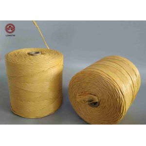 PP Twine for Mats Webbing Weft