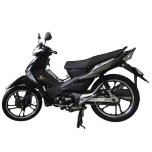 motorcycles 125cc cross gasoline 50cc/110cc/125cc mini EEC Haoji n Super Lady