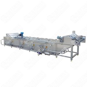 1000kg Banana Chips Blanching Cooling Machine Mango Fruit Cooking Equipment