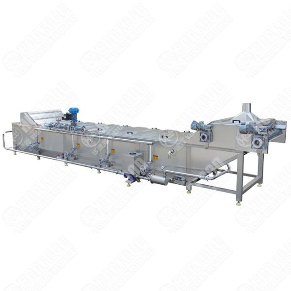 OEM Continuous Spinach Blanching Machine Celery Pre Cooking Machine Automatic