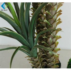 Aloe Gladiolus Leaf Artificial Bonsai Tree , Plastic Artificial Agave Plant