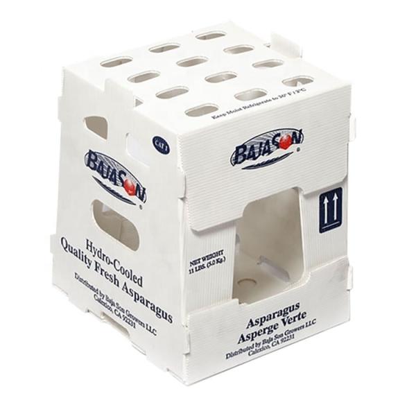 OEM factory produce PP plastic corrugated box for fresh sweet corn broccoli