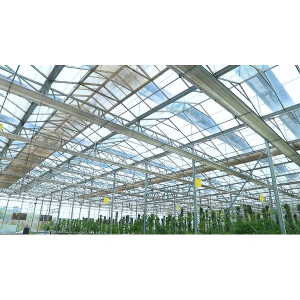4mm tempered greenhouse glass