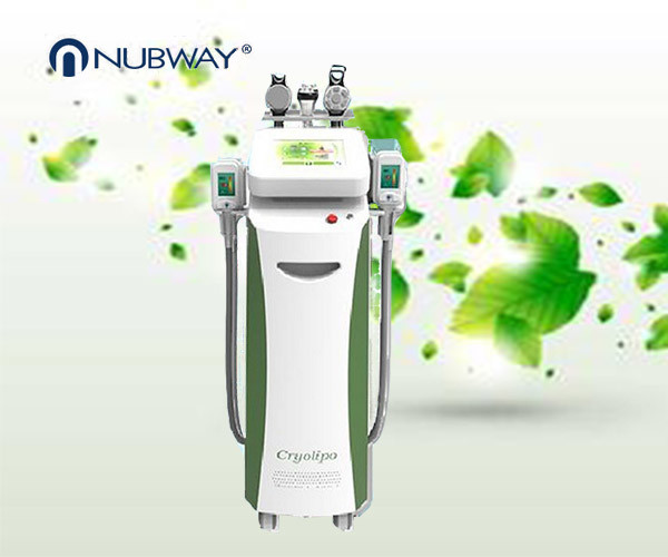 Buy double air pump super cooling -15℃ cryolipolysis body slimming machine at wholesale prices