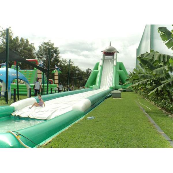 Hippo Giant Inflatable Water Slide For Adult , Comercial Slide Water Slip And