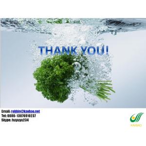 HB111 Stainless Steel Stick Blender With Chooper and Processing Bowl