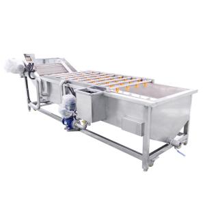 10.75kw Vegetable And Fruit Washing Machine