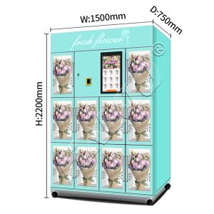 China Haloo vending machine supplier double-layer glass anti fog stainless steel fully automatic 10 lockers flower vending machine on sale
