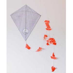 Quality 30m Simple Nylon Flying Diamond Stunt Kite For Beginners for sale