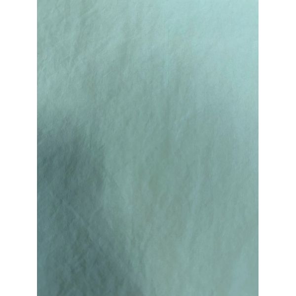 75D*75D 100%P 113GSM polyester fabric