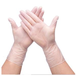 Food Grade Powder Free Disposable Vinyl Gloves Polyvinyl Chloride Gloves