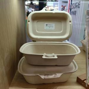 Free Trimming Bagasse Pulp Molding Machine