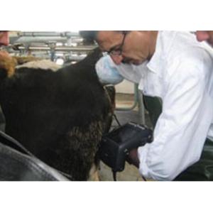 Digital Veterinary Ultrasound Scanner
