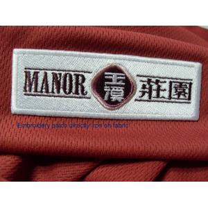 Team Logo Embroidered Sports Patches , Fabric Football Team Badges